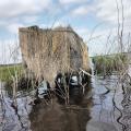 Hutte de chasse marais de Brière